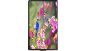liter (52).webp