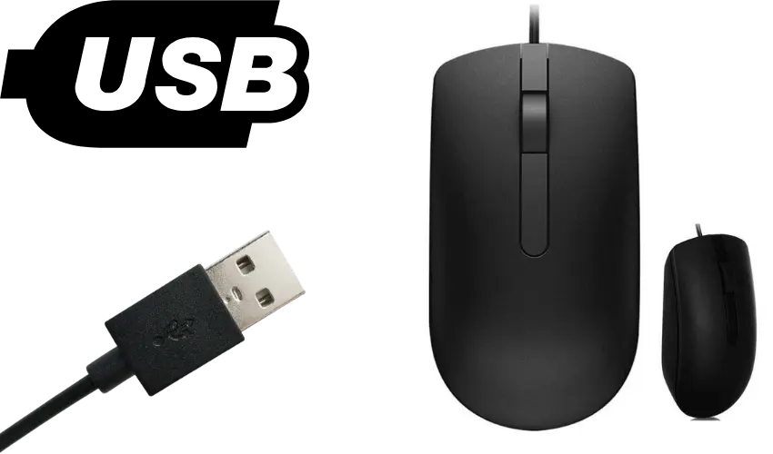 Dell Wired Mouse - MS116