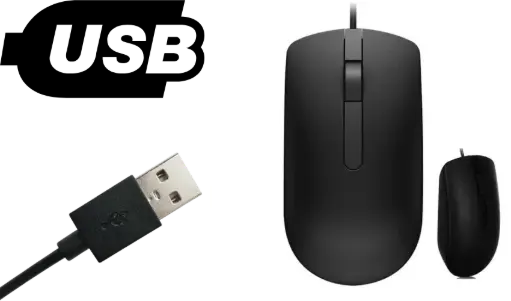 Dell Wired Mouse - MS116